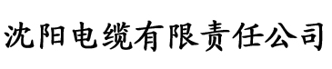 麻豆视传媒官方入口电缆厂logo